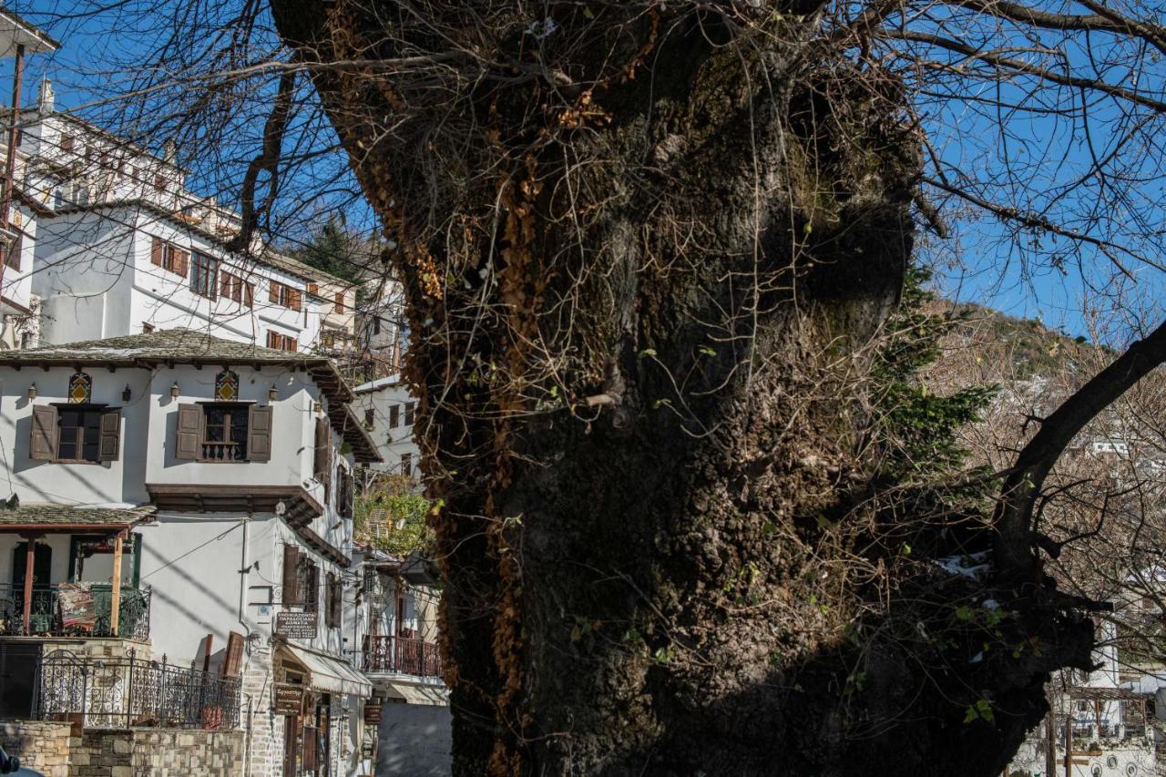 Philos Guesthouse Μακρινίτσα Εξωτερικό φωτογραφία